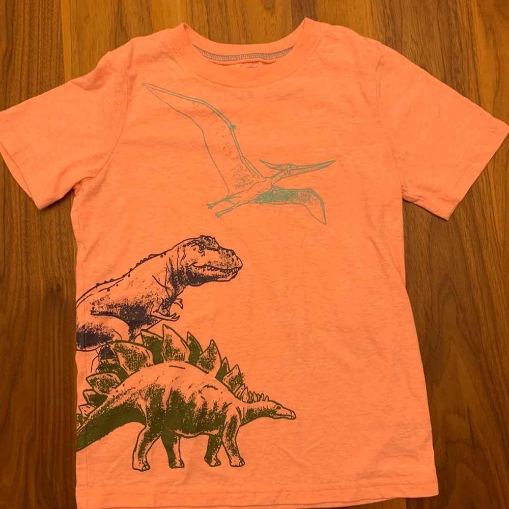 Carter’s Dinosaur Tee